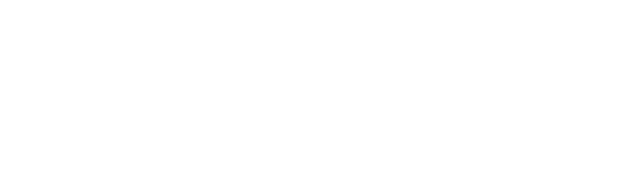 Swedish Energy Agency logo